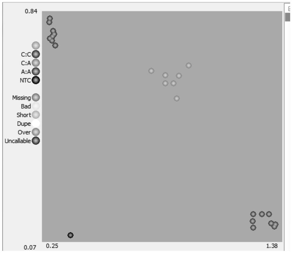 Primers, detection method and application for diploid Haynaldia villosa 3V chromosome specific KASP marker detection