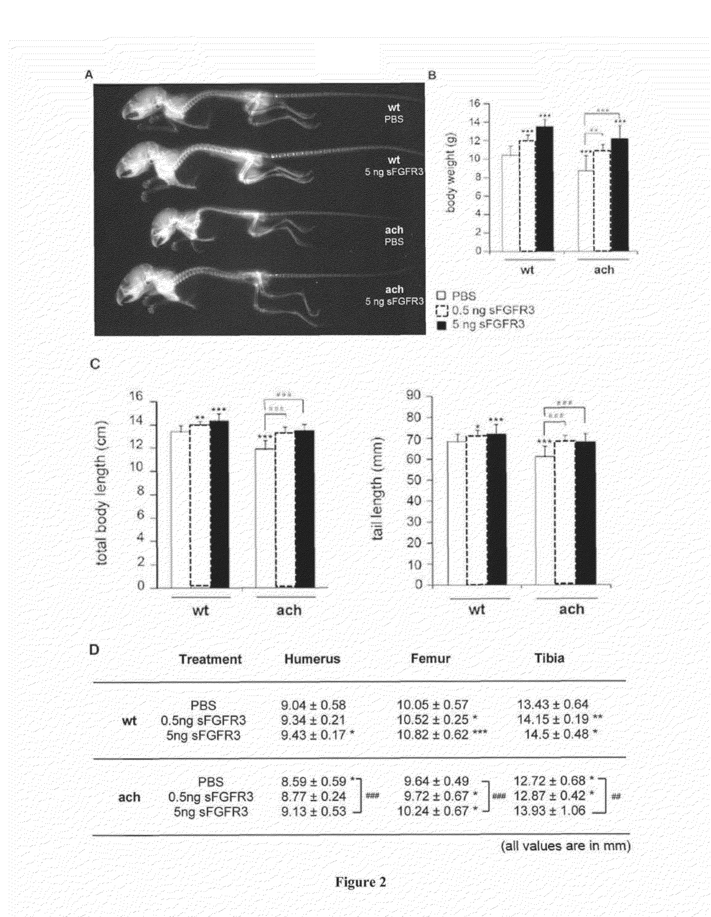 A Soluble Fibroblast Growth Factor Receptor 3 (FGR3) Polypeptide For Use In The Prevention Or Treatment Of Skeletal Growth Retardation Disorders