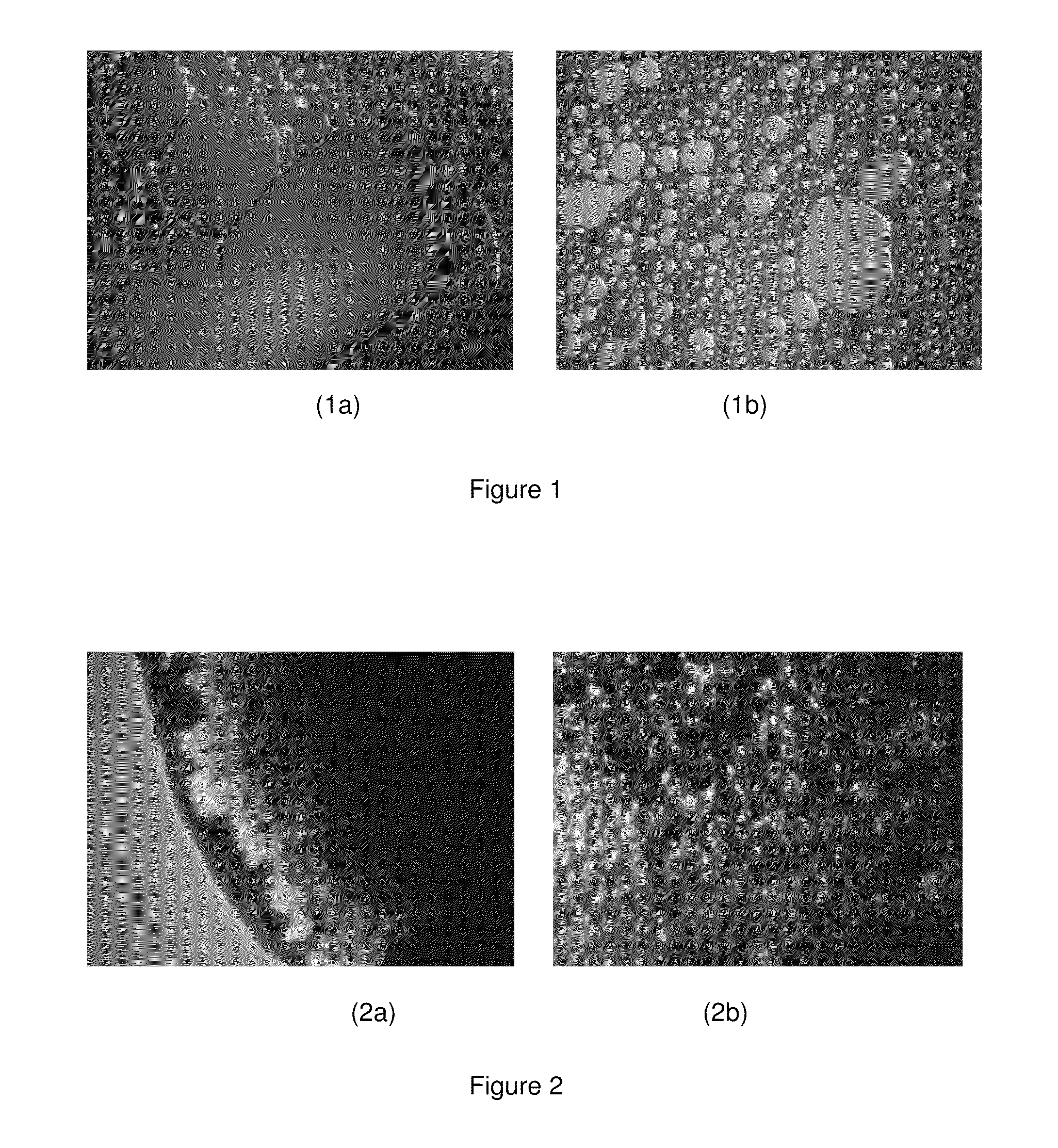 Process of preparing improved heavy and extra heavy crude oil emulsions by use of biosurfactants in water and product thereof