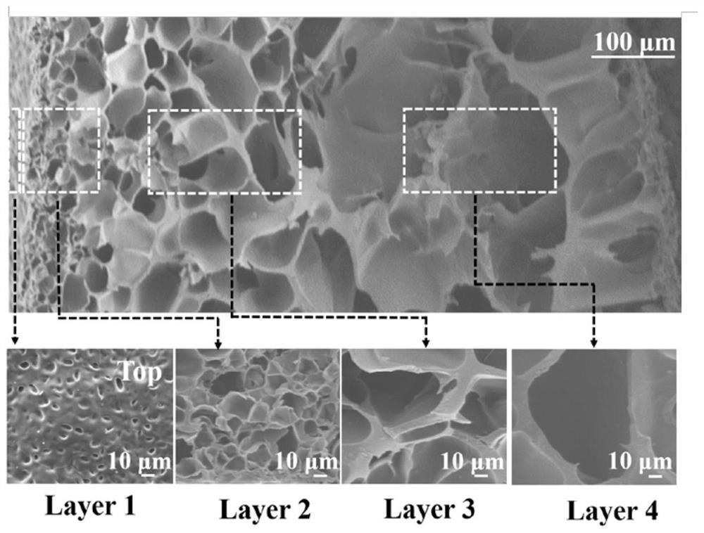 Light-driven shape-programmable MXene composite hydrogel driver and preparation method thereof