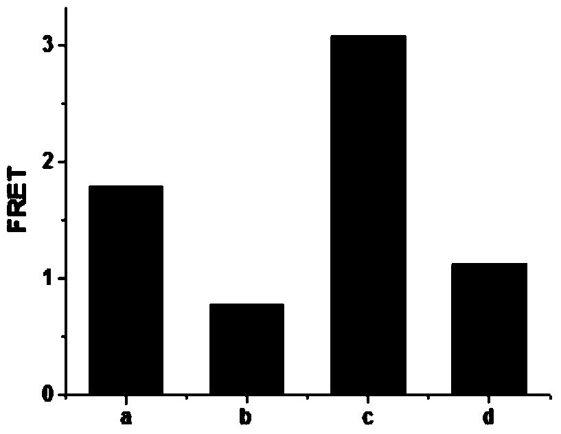 Thrombin detection method based on splitter adapter and water-soluble conjugated polymer