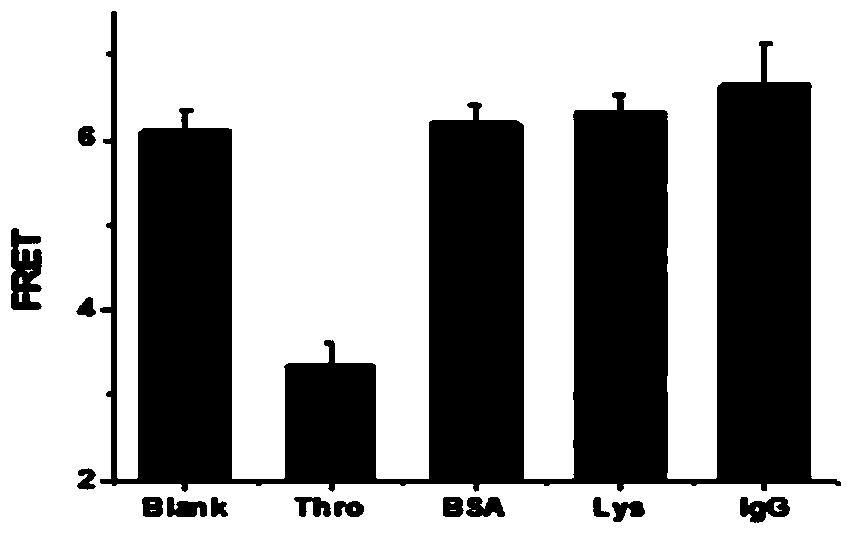 Thrombin detection method based on splitter adapter and water-soluble conjugated polymer