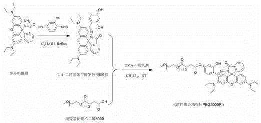 Rhodamine b-based water-soluble polymer probes for detecting copper ions, preparation and application