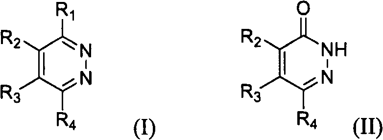 Anti-corrosion agents for transparent conductive film