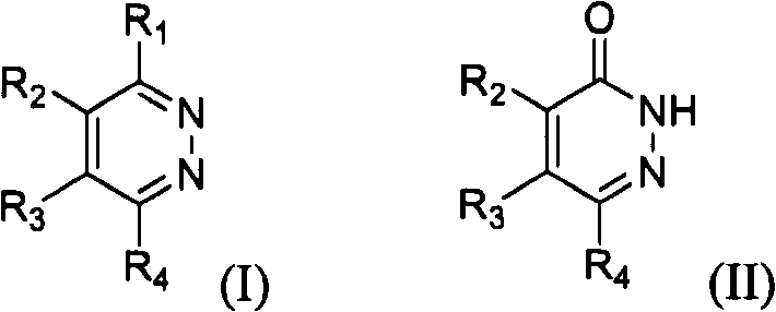 Anti-corrosion agents for transparent conductive film