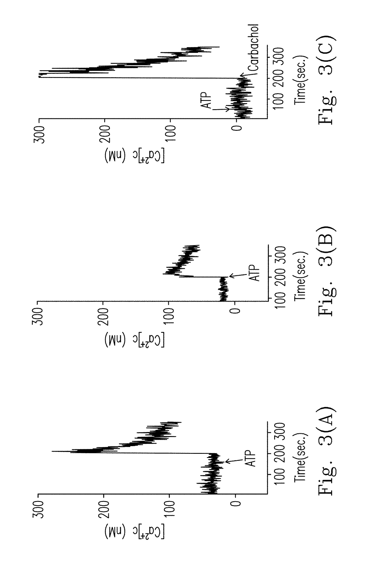 HERIPENES WITH PAIN-RELIEVING EFFECT, ACTIVE SUBSTANCES OF Hericium erinaceus MYCELIUM AND THE PREPARATION METHOD THEREOF, AND PHARMACEUTICAL COMPOSITION CONTAINING THE HERIPENES OR ACTIVE SUBSTANCES