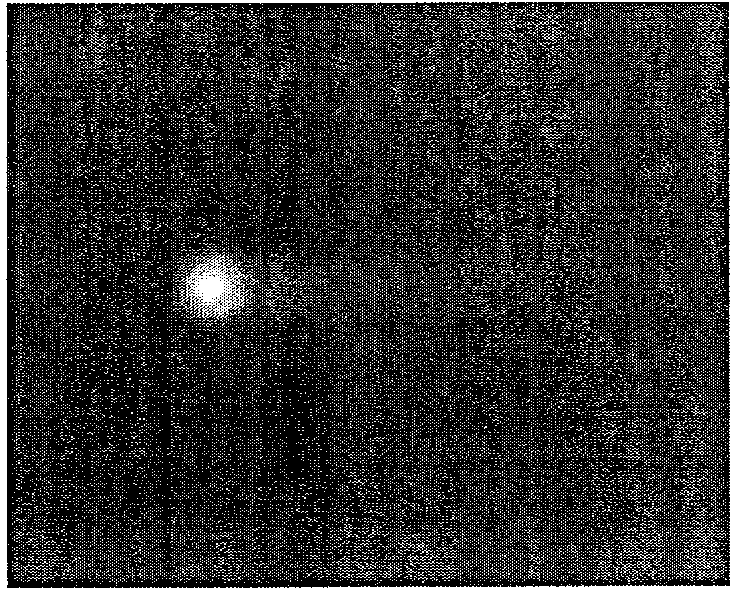 Method for detecting laser caused DNA damage