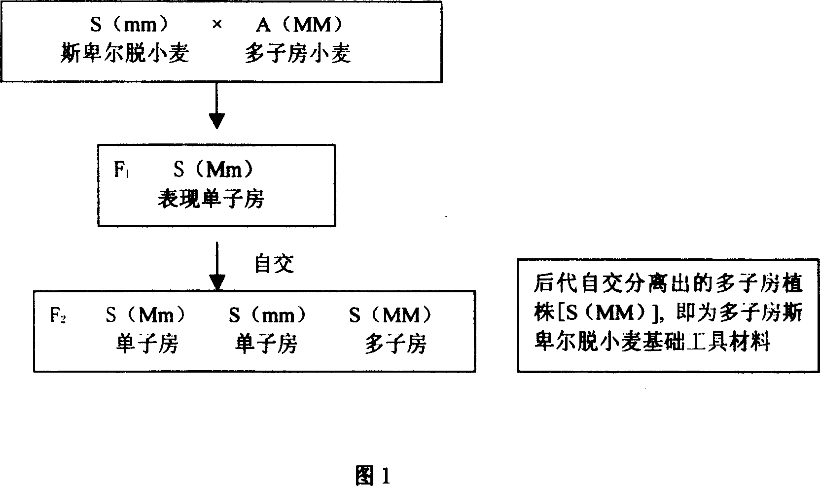 Method for increasing breeding benefit of wheat hybrid