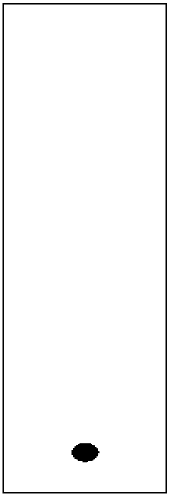 Narrow band thin-layer chromatographic sheet and preparation method thereof