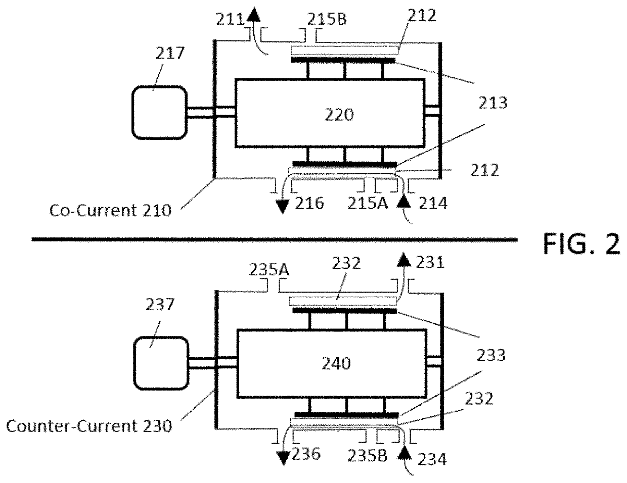 Method and apparatus for sharing co-generated energy when processing essential elements derived from plant matter