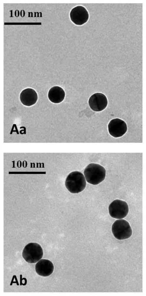 A functionalized gold nanoparticle and preparation method thereof, preparation method and application of gold nanoparticle dimer