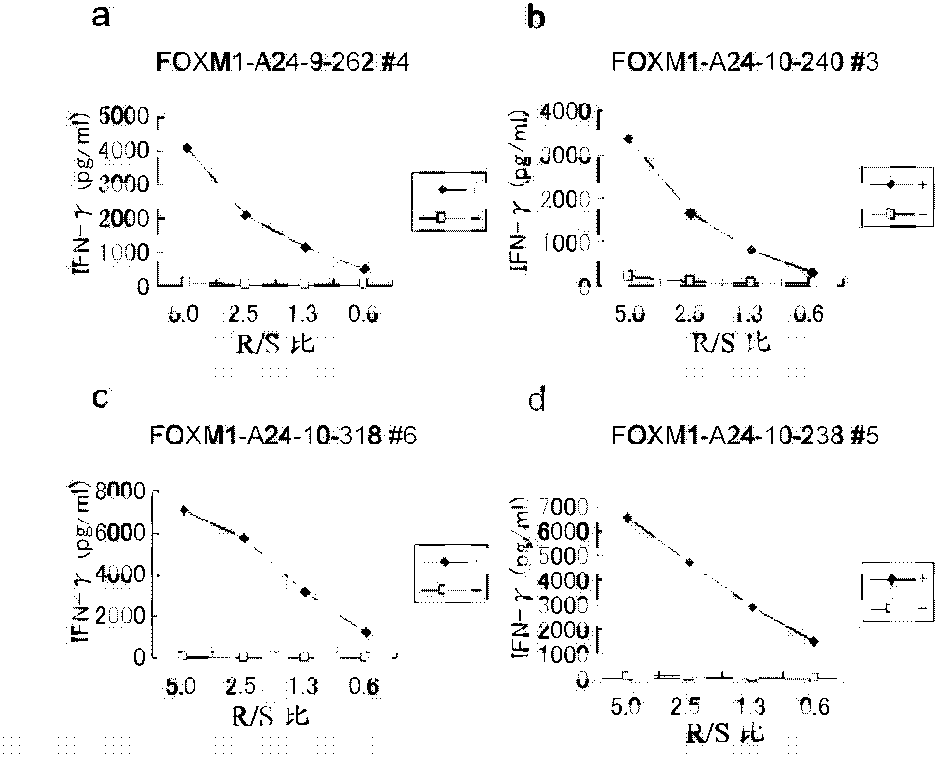 Foxm1 peptides and vaccines containing the same