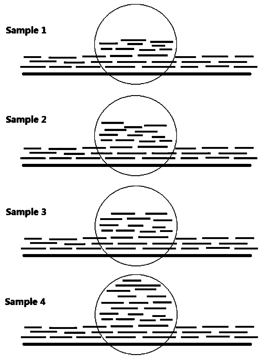 A method for genotyping forest tree population based on gene copy number variation loci