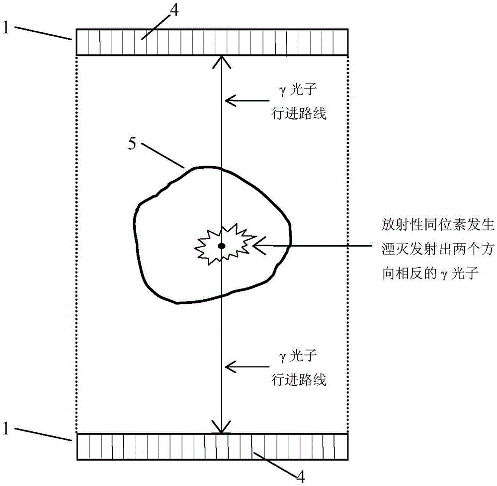 Offset panel PET (Positron Emission Tomography) system and preprocessing method of projection data