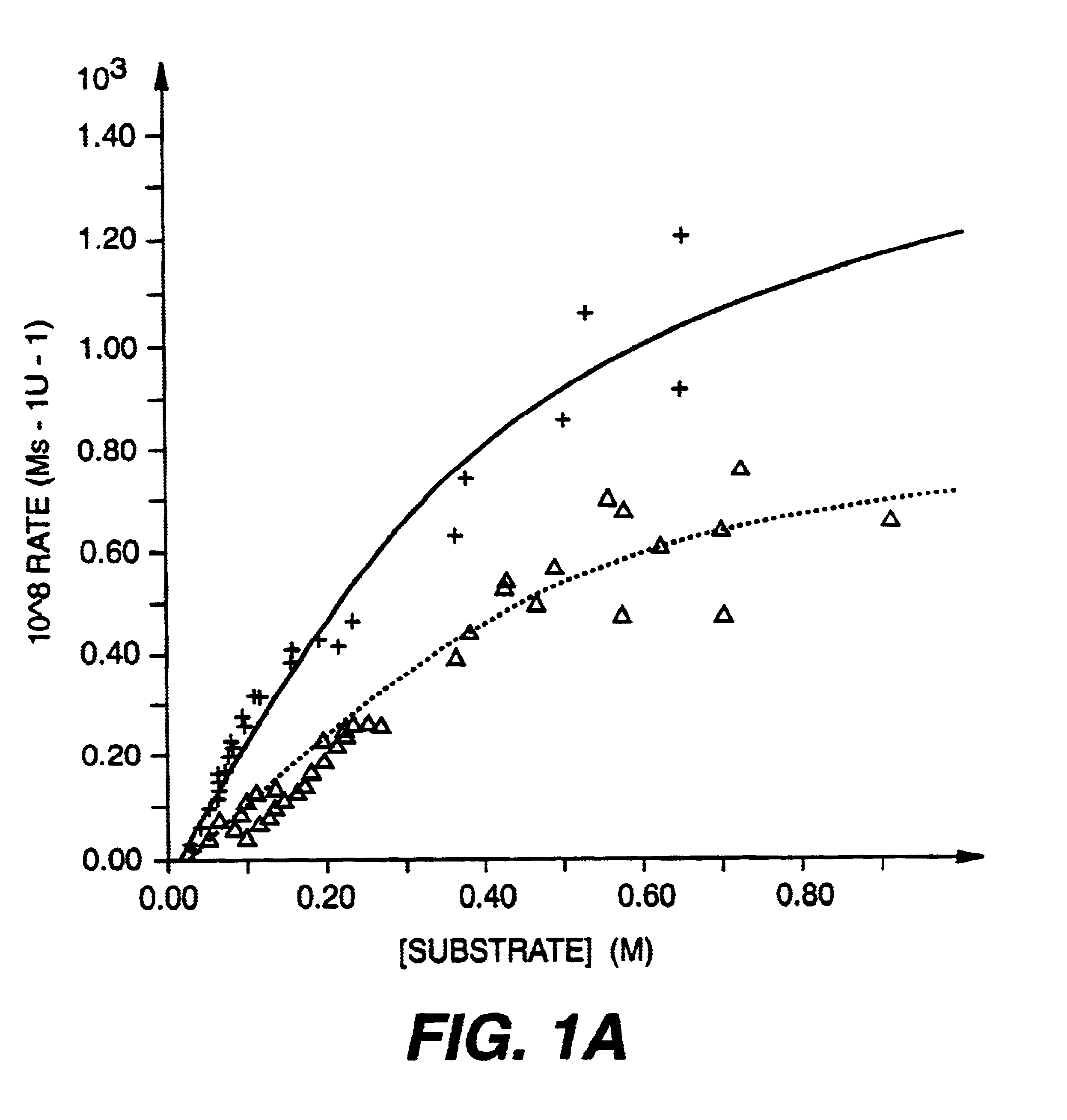 Treatment of neovascularization disorders with squalimine