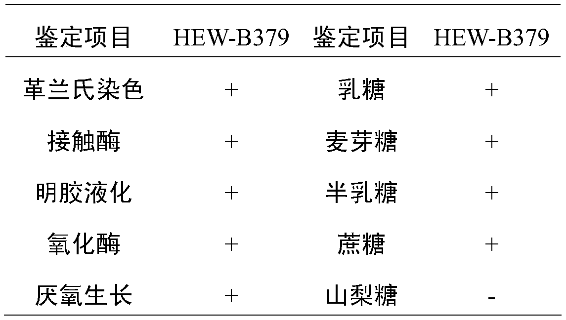 A strain of Bacillus coagulans hew-b379 with probiotic effect and its application