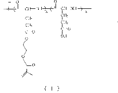 Poly (L-glutamic acid)/polyacrylic acid hydrogel and preparation method thereof