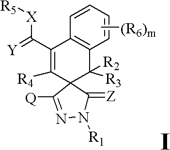 Substituted pyrazole (sulphur) ketone compound and application thereof