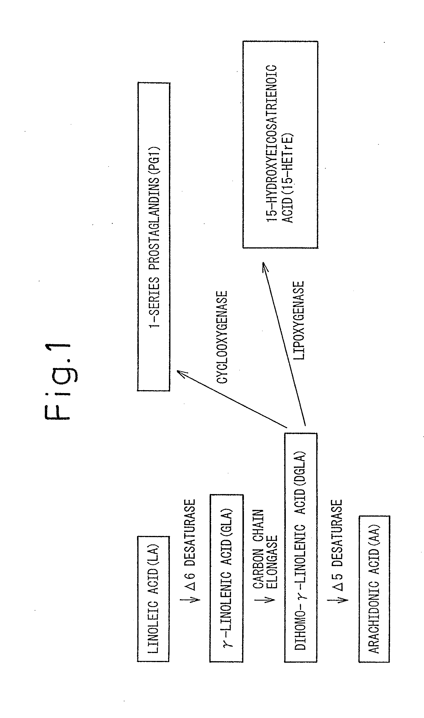 COMPOSITION CONTAINING  DIHOMO-y-LINOLENIC ACID (DGLA) AS THE ACTIVE INGREDIENT