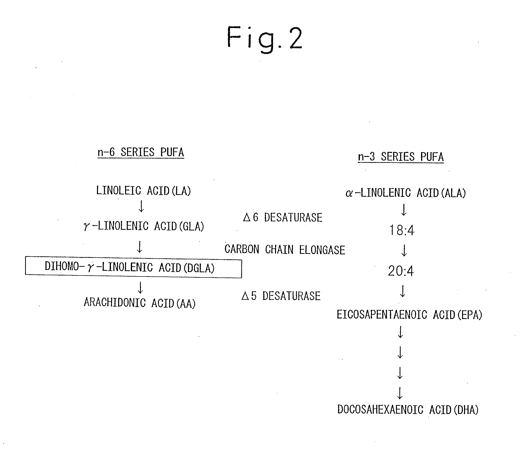 COMPOSITION CONTAINING  DIHOMO-y-LINOLENIC ACID (DGLA) AS THE ACTIVE INGREDIENT