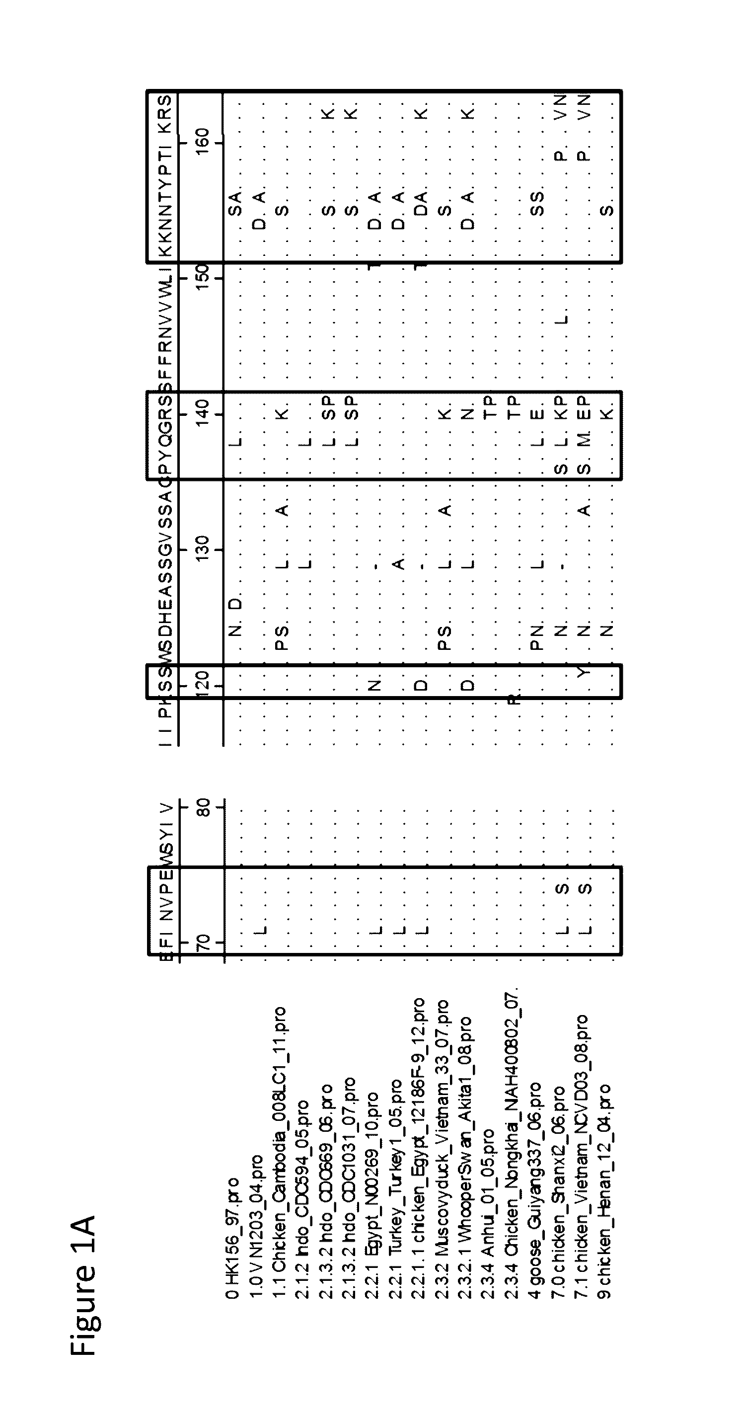 Monovalent h5 vaccine