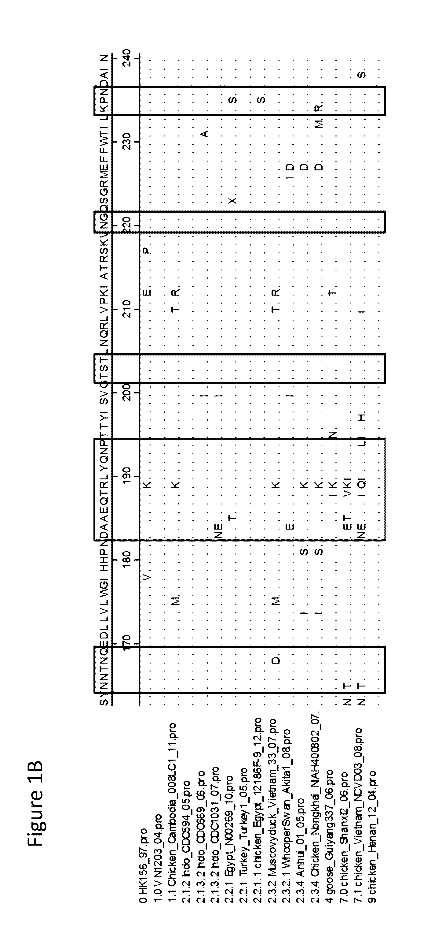 Monovalent h5 vaccine