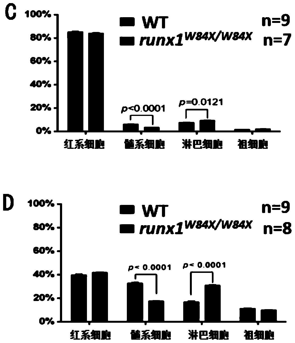 Application of a mutant zebrafish in the preparation of an animal model of variable immunodeficiency disease