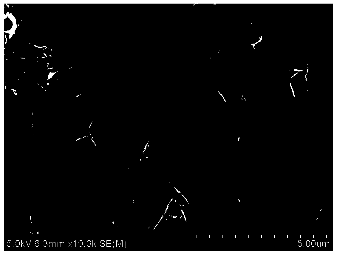 Bismuth oxybromide of three-dimensional flower shaped structure, and preparation method and applications thereof