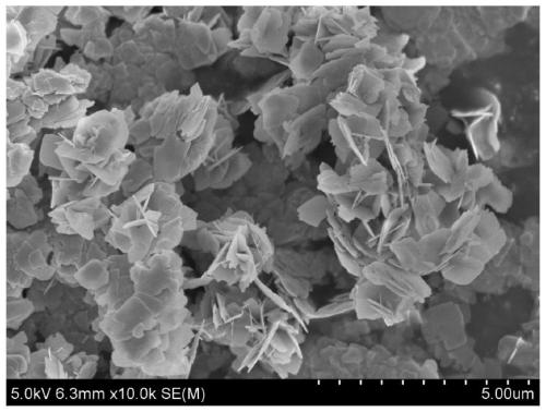 Bismuth oxybromide of three-dimensional flower shaped structure, and preparation method and applications thereof