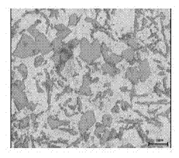 Strontium-silicon alterative for hypereutectic AlSi alloy