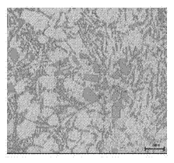 Strontium-silicon alterative for hypereutectic AlSi alloy