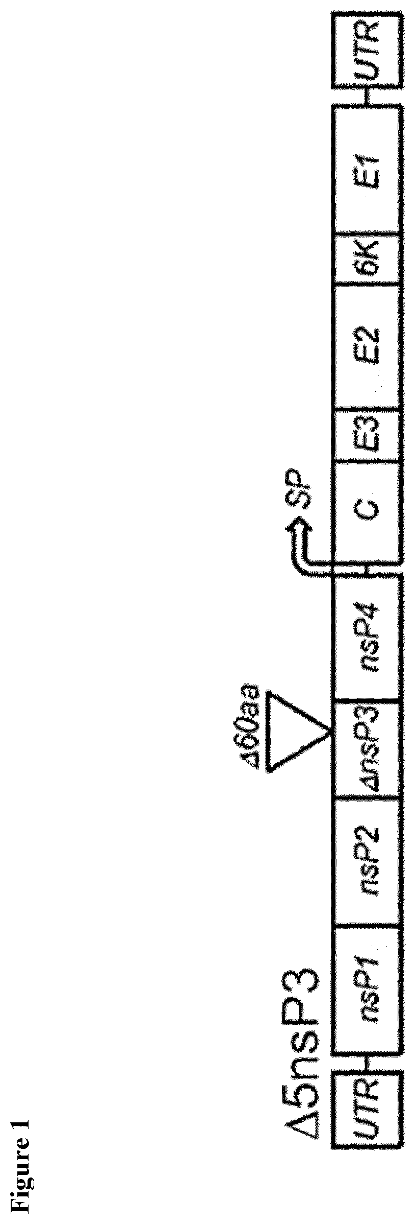 Single shot chikungunya virus vaccine