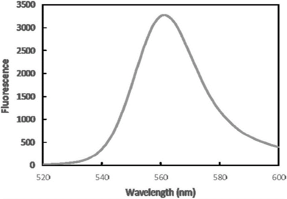 Preparation method of fusion fluorescent protein in escherichia coli