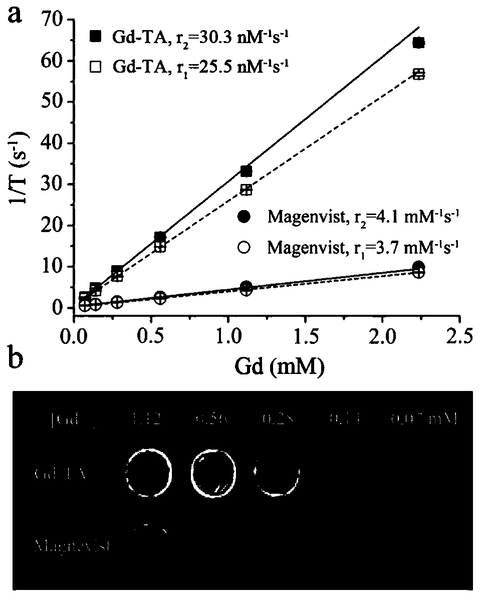 Small-size gadolinium-polyphenol polymer nano-particles and preparation method and application thereof