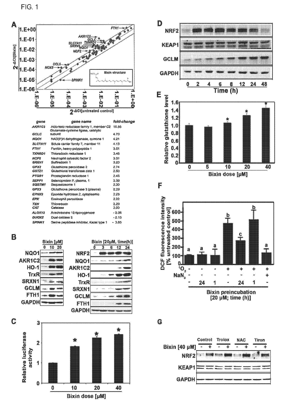 Activators of nrf2-dependent photoprotection and related uses thereof