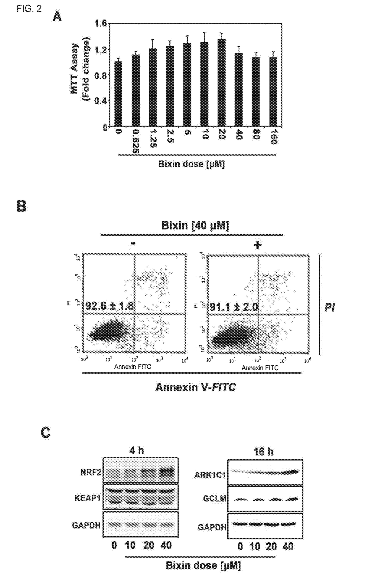 Activators of nrf2-dependent photoprotection and related uses thereof