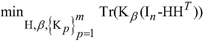 Multi-view clustering machine learning method with missing kernel