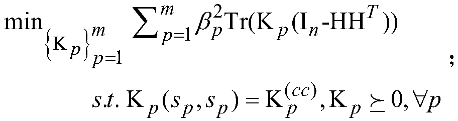 Multi-view clustering machine learning method with missing kernel