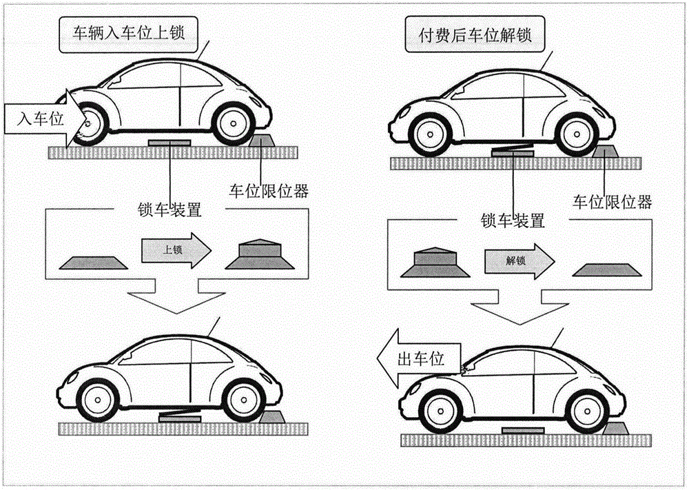 Device capable of dynamically managing motor vehicle parking and parking space