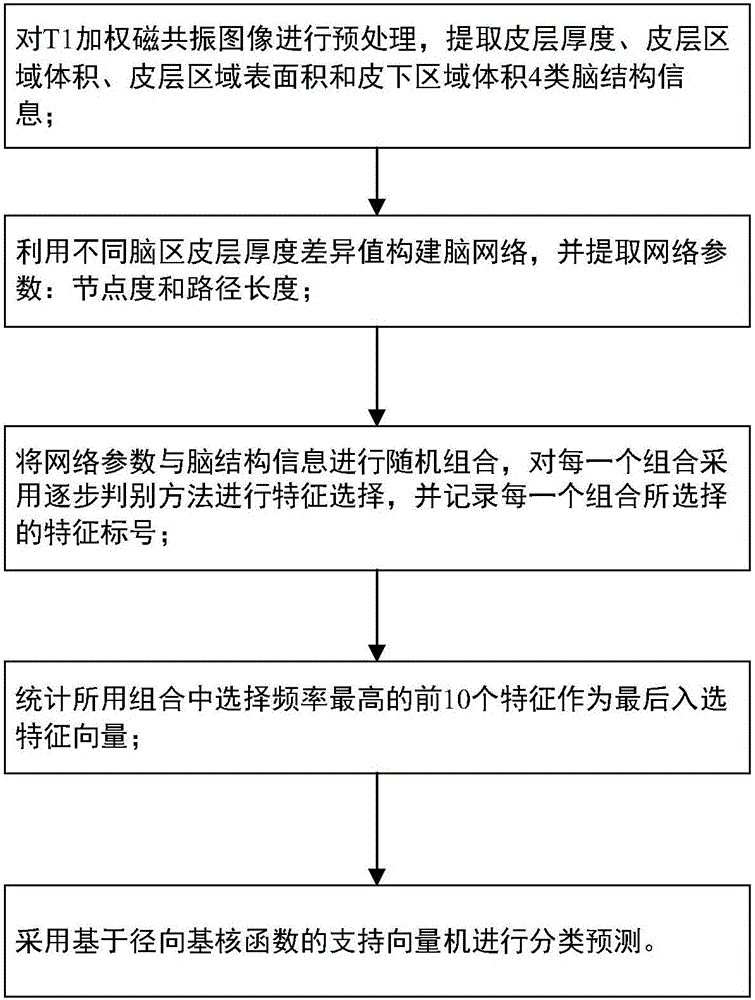 Mild cognitive impairment disease classifying method based on brain network and brain structure information