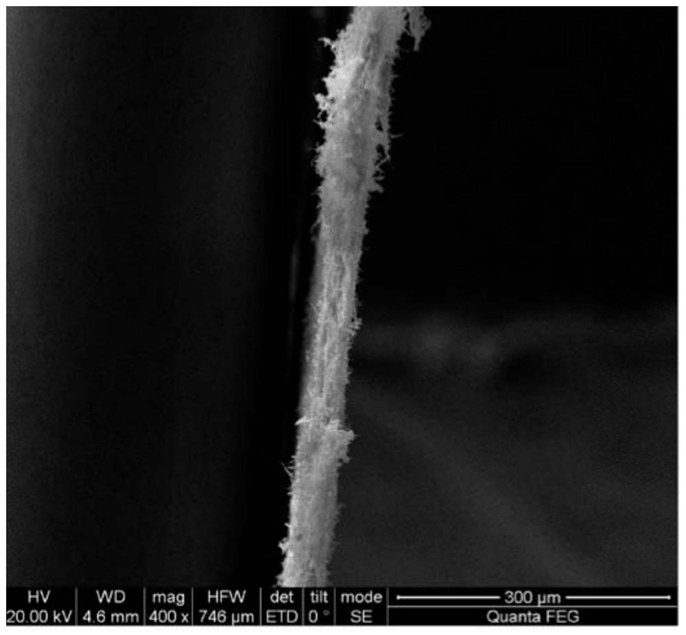 Boron nitride aerogel phase-change film, and preparation method and application thereof