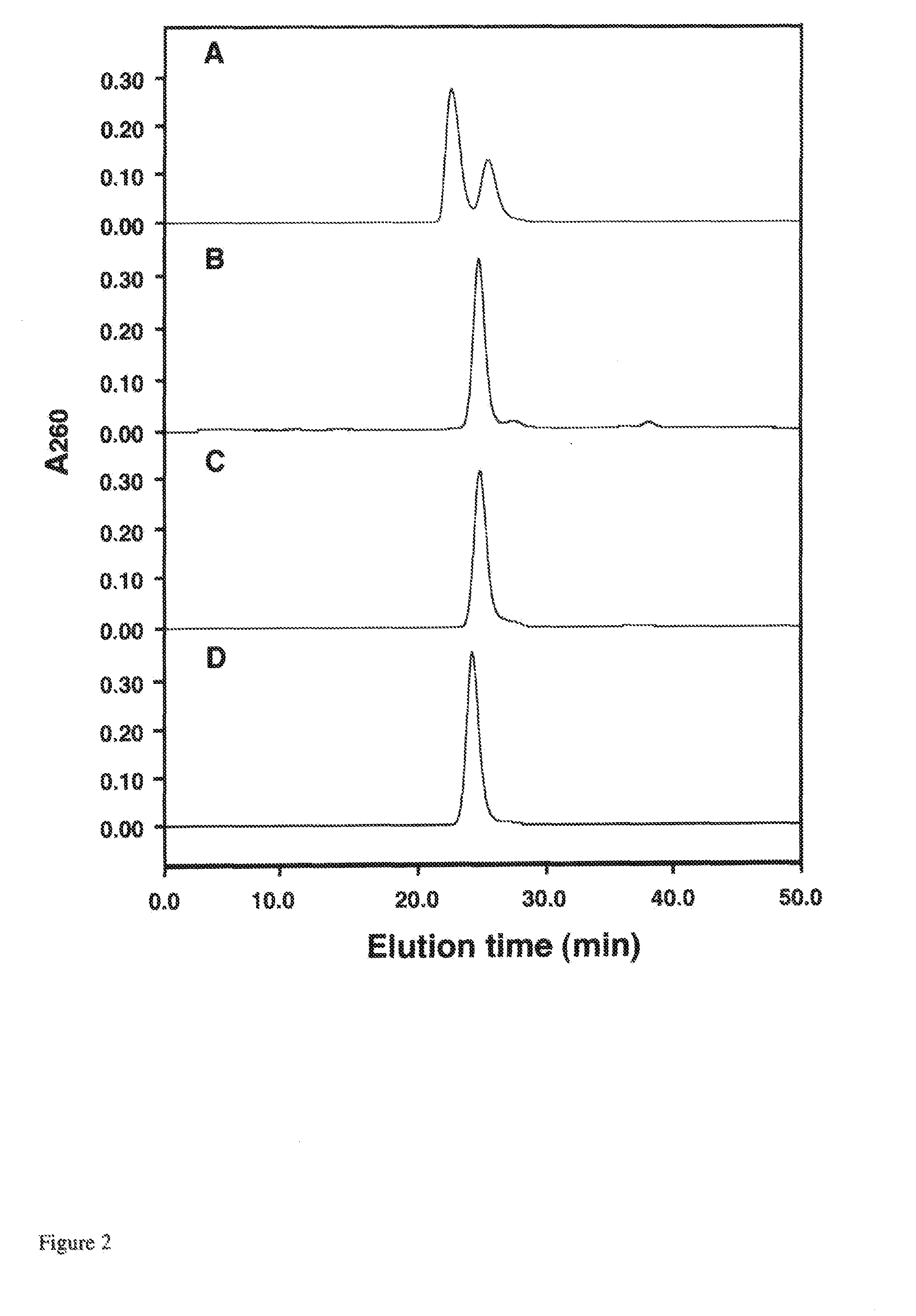 Process for designing inhibitors of influenza virus structural protein-1