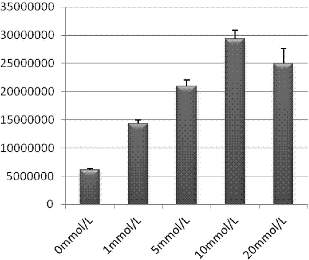 Application of N-acetylcysteine in in-vitro amplification of absolute quantity of central memory T cells