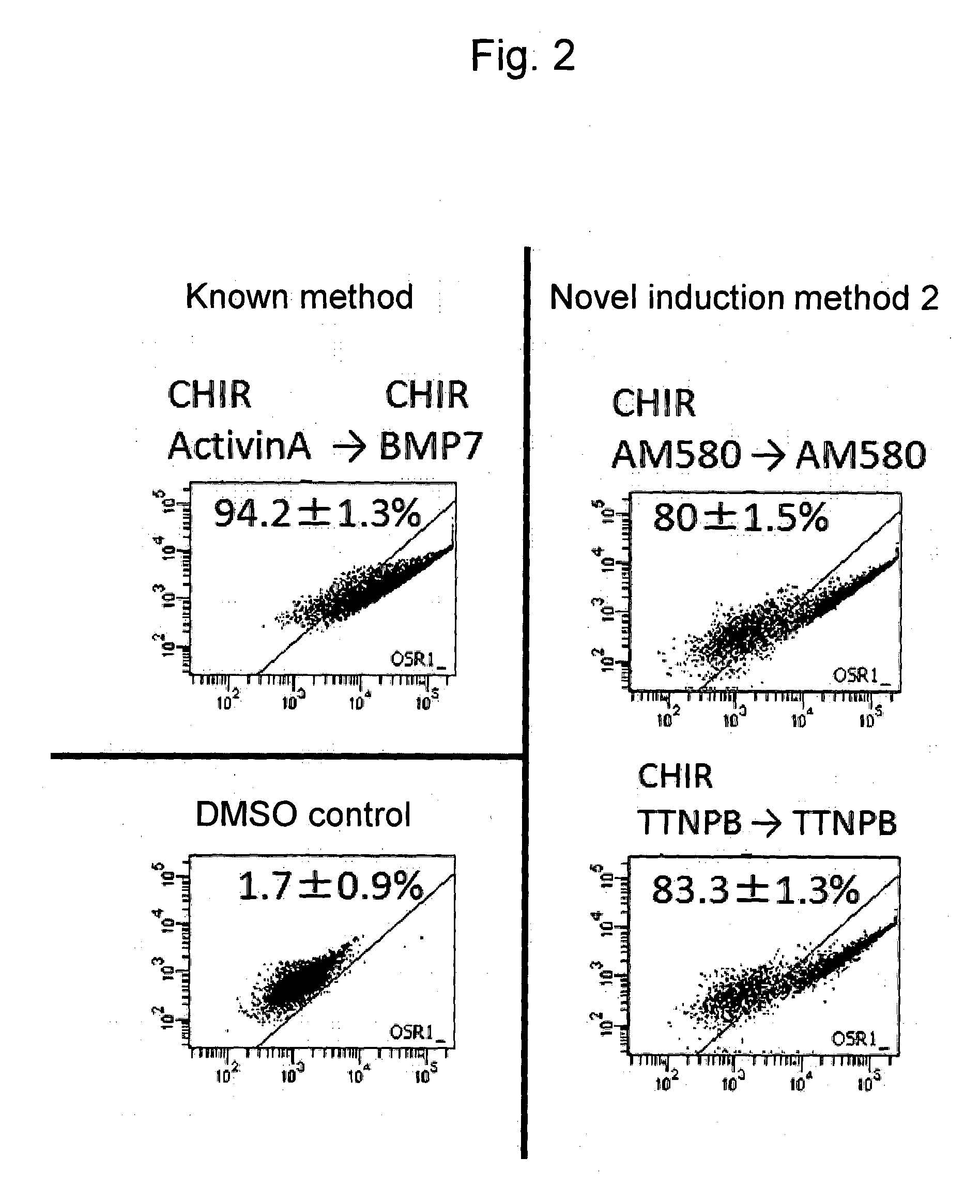 Method for inducing differentiation of human pluripotent stem cells into intermediate mesoderm cells