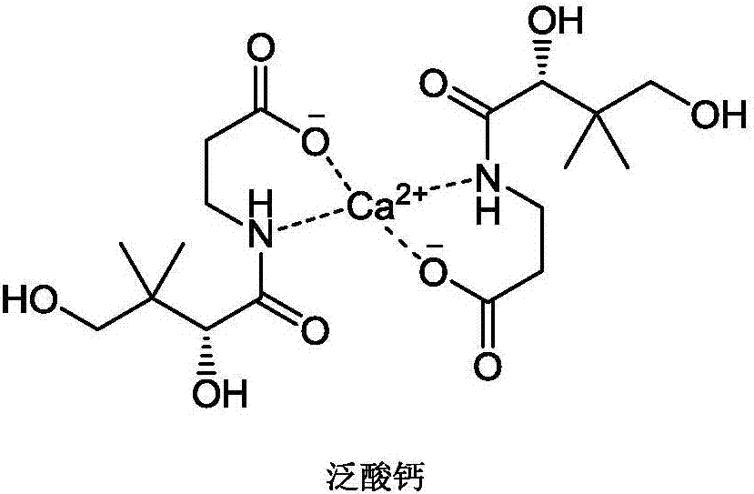 Traditional Chinese medicine health-care soy sauce and preparation method thereof