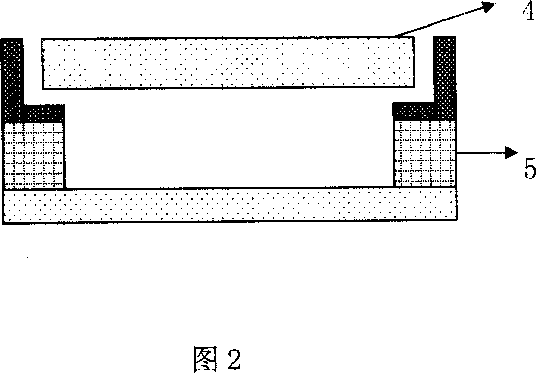 Photoelectric cathode and process for preparing vacuum ultraviolet electric device using said cathode