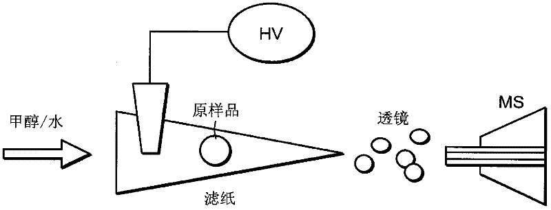 Ion generation using wetted porous material