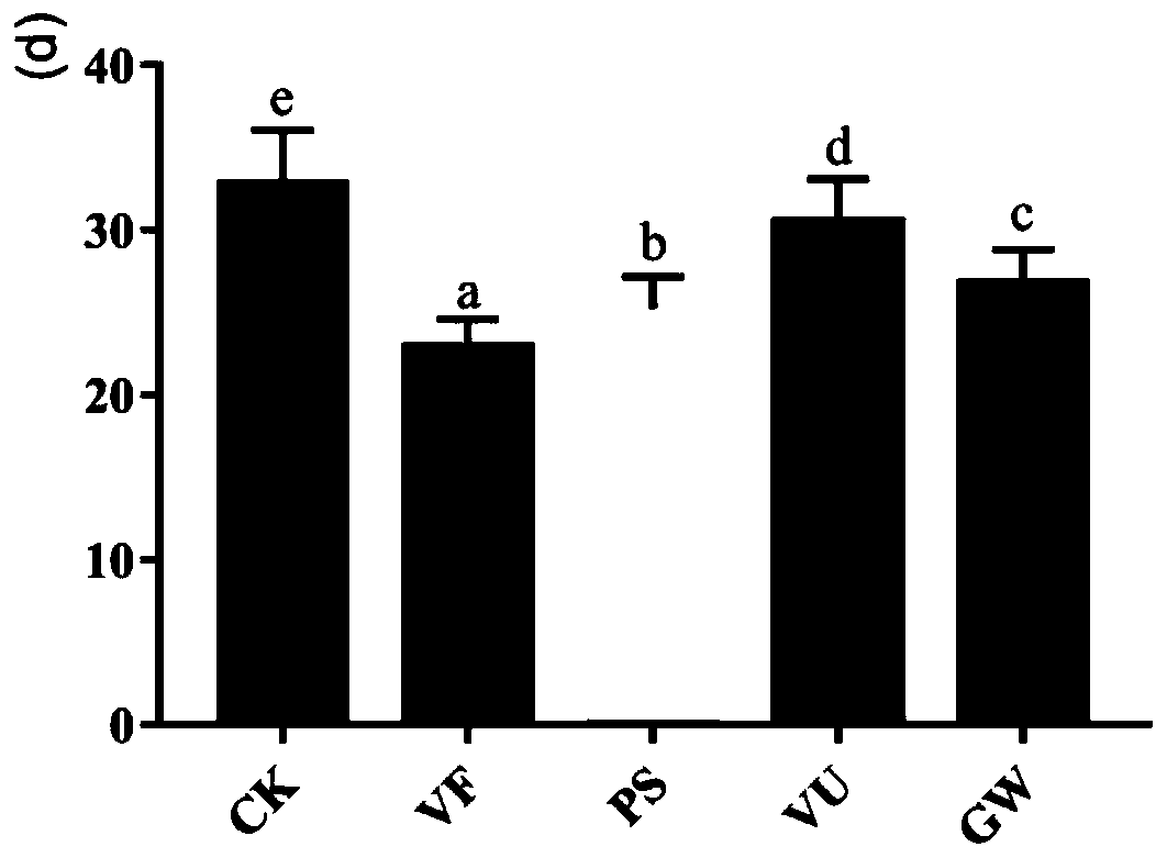 A method of adding alternative host plants to improve the feeding effect of stinkbugs