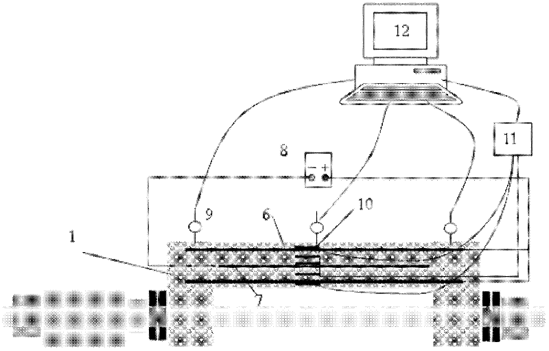 Test device for time varying mechanical properties of column under load-environment coupling effect