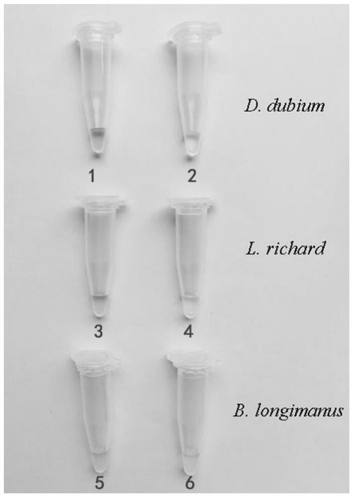 A third-generation sequencing zooplankton genome DNA extraction method and application